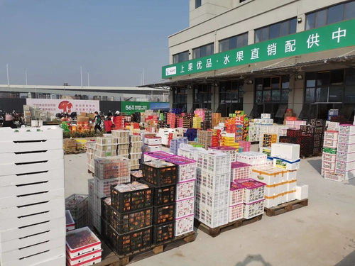 海吉星農(nóng)產(chǎn)品物流園盛大開(kāi)業(yè) 安慶“菜籃子”升級(jí)，農(nóng)產(chǎn)品流通邁入新時(shí)代